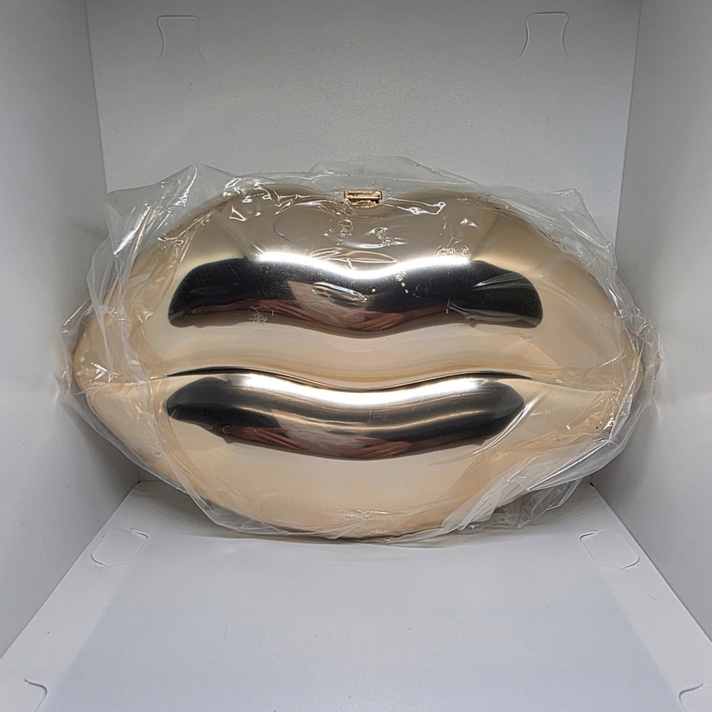 Hello 3 AM Gold Lips Acrylic Clutch Chain Strap Statement Evening Bag NWT